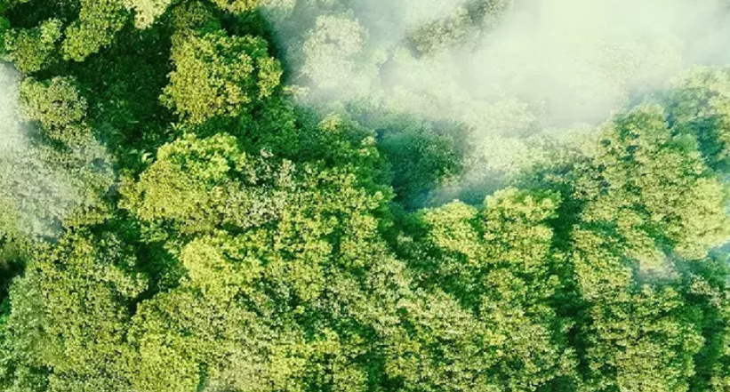 Turkcell’in Tekno Atık Projesiyle 29,4 Ton Elektronik Atık Geri Dönüştürülerek Eğitim Desteği Sağlandı