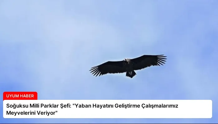 Soğuksu Milli Parklar Şefi: “Yaban Hayatını Geliştirme Çalışmalarımız Meyvelerini Veriyor”