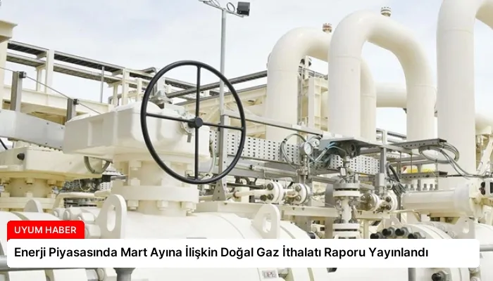 Enerji Piyasasında Mart Ayına İlişkin Doğal Gaz İthalatı Raporu Yayınlandı
