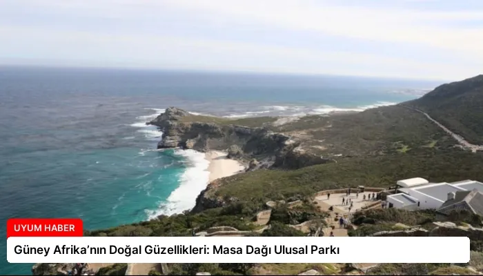 Güney Afrika’nın Doğal Güzellikleri: Masa Dağı Ulusal Parkı