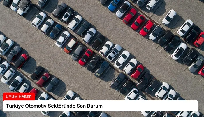 Türkiye Otomotiv Sektöründe Son Durum