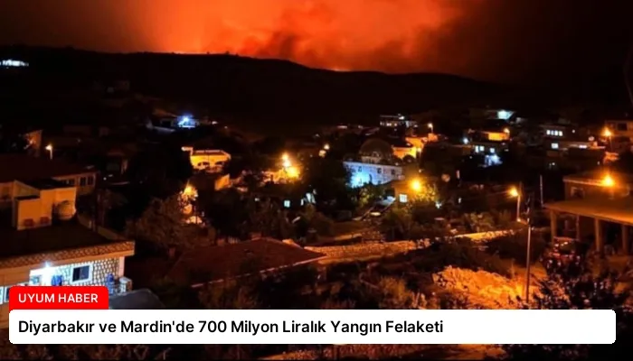 Diyarbakır ve Mardin’de 700 Milyon Liralık Yangın Felaketi