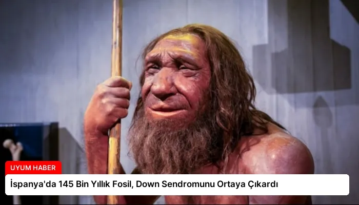İspanya’da 145 Bin Yıllık Fosil, Down Sendromunu Ortaya Çıkardı