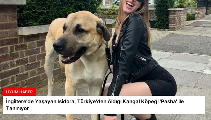 İngiltere’de Yaşayan Isidora, Türkiye’den Aldığı Kangal Köpeği ‘Pasha’ ile Tanınıyor