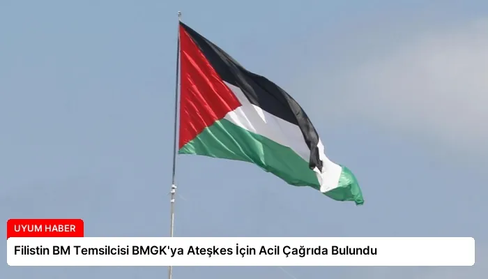 Filistin BM Temsilcisi BMGK’ya Ateşkes İçin Acil Çağrıda Bulundu