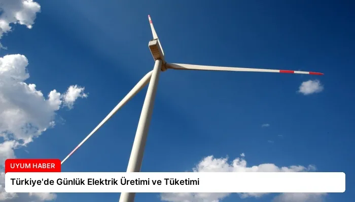 Türkiye’de Günlük Elektrik Üretimi ve Tüketimi
