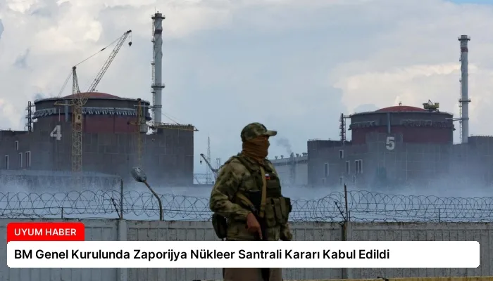 BM Genel Kurulunda Zaporijya Nükleer Santrali Kararı Kabul Edildi