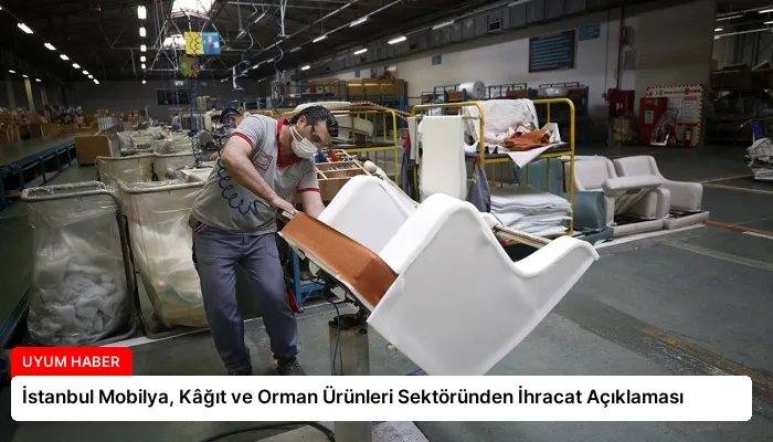 İstanbul Mobilya, Kâğıt ve Orman Ürünleri Sektöründen İhracat Açıklaması