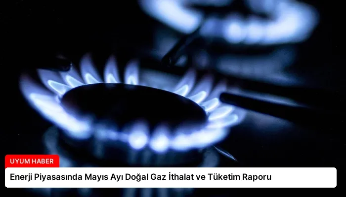 Enerji Piyasasında Mayıs Ayı Doğal Gaz İthalat ve Tüketim Raporu