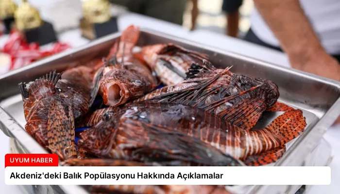 Akdeniz’deki Balık Popülasyonu Hakkında Açıklamalar