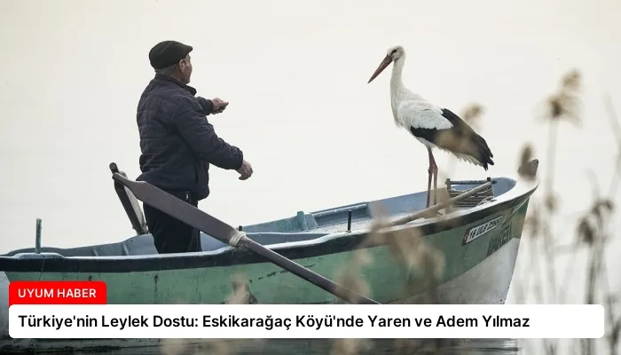 Türkiye’nin Leylek Dostu: Eskikarağaç Köyü’nde Yaren ve Adem Yılmaz