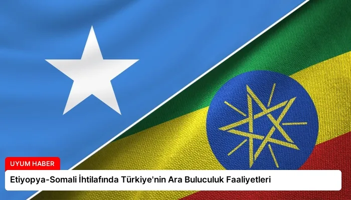 Etiyopya-Somali İhtilafında Türkiye’nin Ara Buluculuk Faaliyetleri