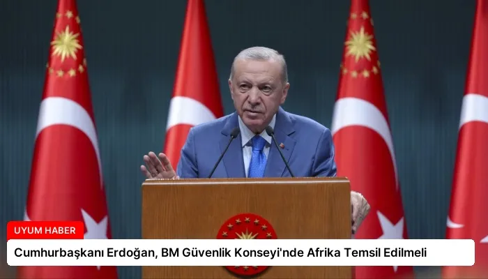 Cumhurbaşkanı Erdoğan, BM Güvenlik Konseyi’nde Afrika Temsil Edilmeli