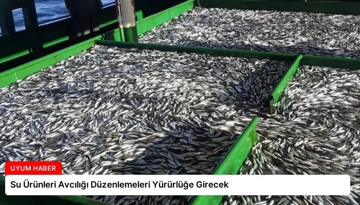 Su Ürünleri Avcılığı Düzenlemeleri Yürürlüğe Girecek