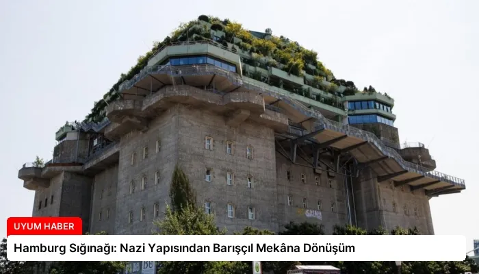 Hamburg Sığınağı: Nazi Yapısından Barışçıl Mekâna Dönüşüm