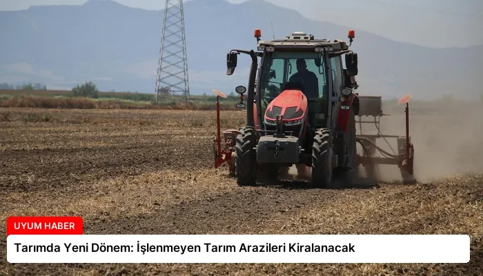 Tarımda Yeni Dönem: İşlenmeyen Tarım Arazileri Kiralanacak