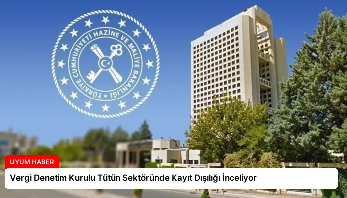Vergi Denetim Kurulu Tütün Sektöründe Kayıt Dışılığı İnceliyor