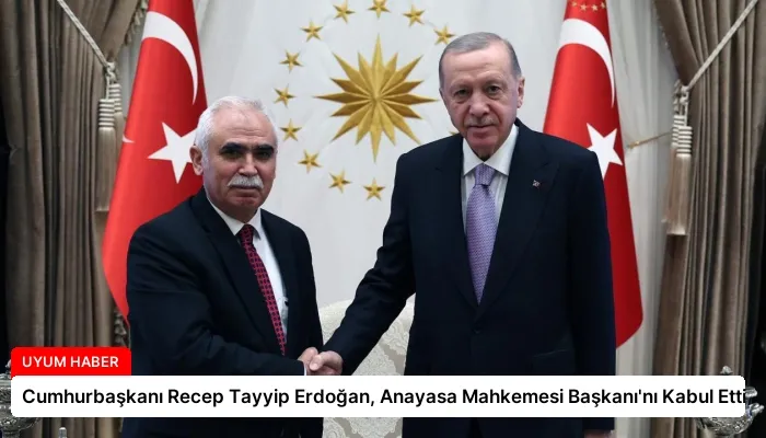 Cumhurbaşkanı Recep Tayyip Erdoğan, Anayasa Mahkemesi Başkanı’nı Kabul Etti