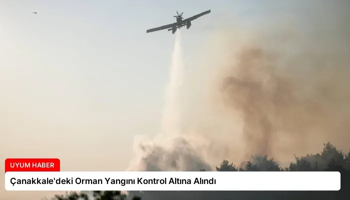Çanakkale’deki Orman Yangını Kontrol Altına Alındı