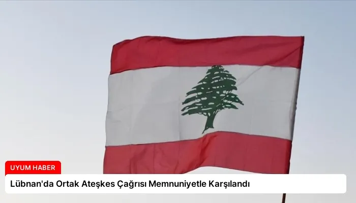 Lübnan’da Ortak Ateşkes Çağrısı Memnuniyetle Karşılandı