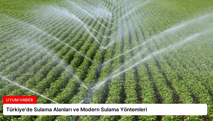 Türkiye’de Sulama Alanları ve Modern Sulama Yöntemleri