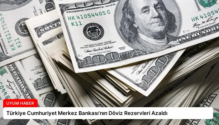 Türkiye Cumhuriyet Merkez Bankası’nın Döviz Rezervleri Azaldı