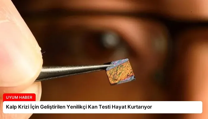 Kalp Krizi İçin Geliştirilen Yenilikçi Kan Testi Hayat Kurtarıyor