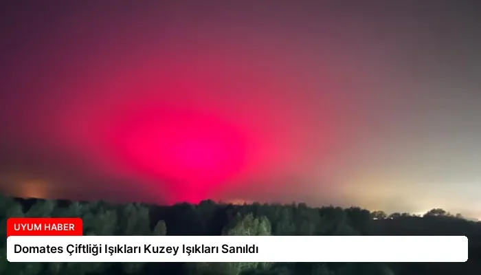 Domates Çiftliği Işıkları Kuzey Işıkları Sanıldı