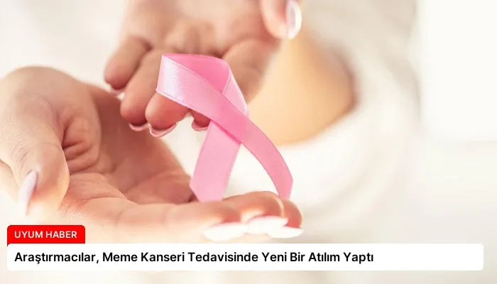 Araştırmacılar, Meme Kanseri Tedavisinde Yeni Bir Atılım Yaptı