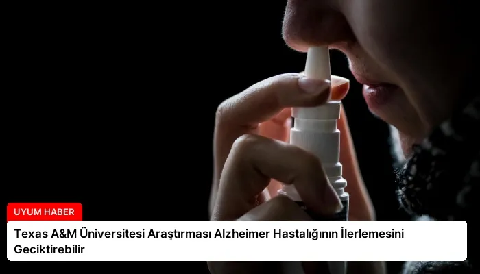 Texas A&M Üniversitesi Araştırması Alzheimer Hastalığının İlerlemesini Geciktirebilir