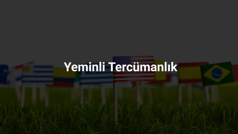 Profesyonel Tercüme Hizmetleri