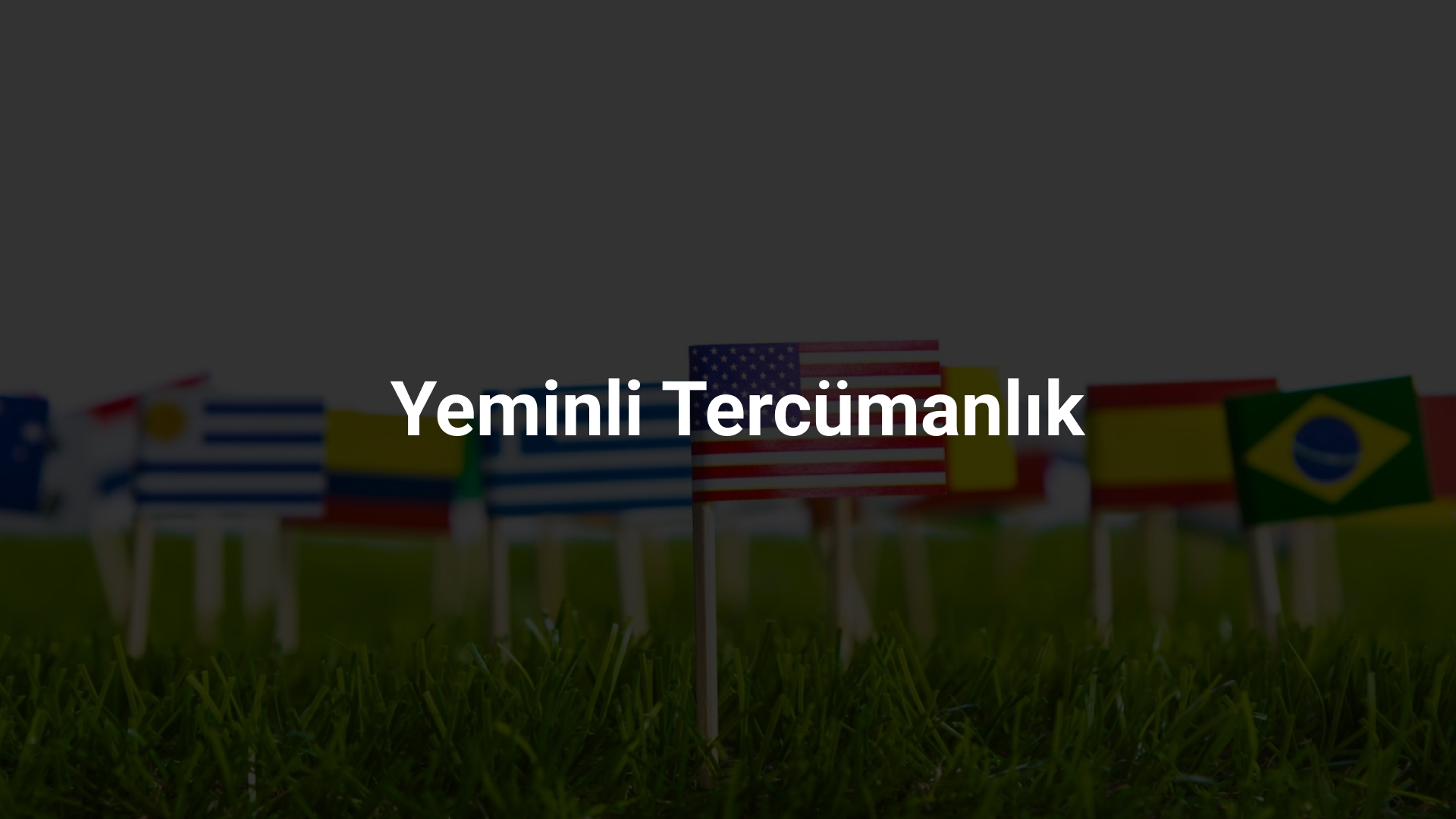 Profesyonel Tercüme Hizmetleri