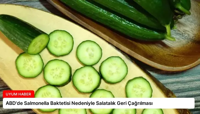 ABD’de Salmonella Baktetisi Nedeniyle Salatalık Geri Çağrılması
