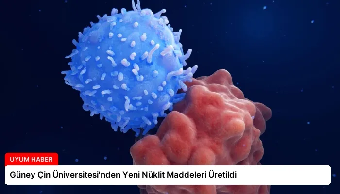Güney Çin Üniversitesi’nden Yeni Nüklit Maddeleri Üretildi