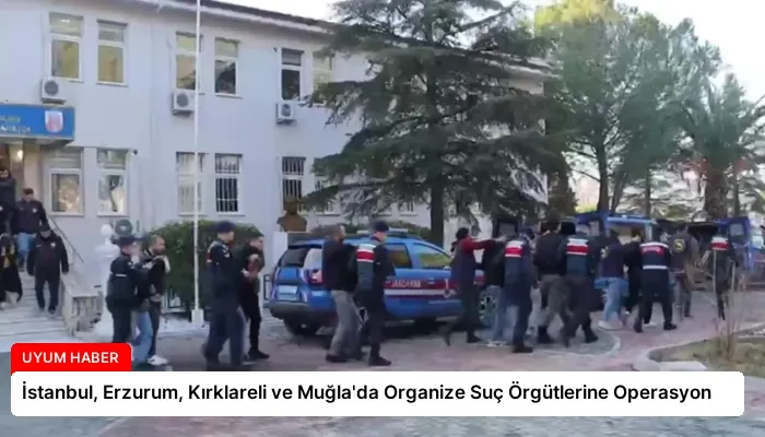 İstanbul, Erzurum, Kırklareli ve Muğla’da Organize Suç Örgütlerine Operasyon