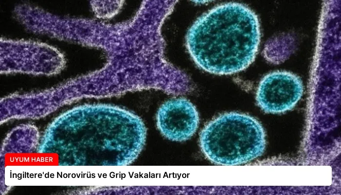 İngiltere’de Norovirüs ve Grip Vakaları Artıyor