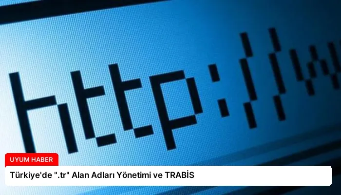 Türkiye’de “.tr” Alan Adları Yönetimi ve TRABİS