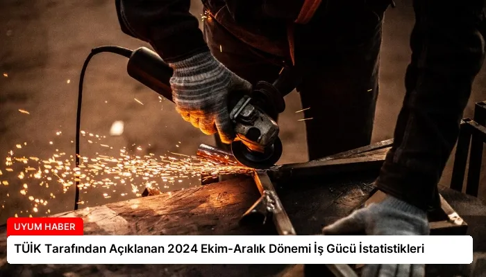TÜİK Tarafından Açıklanan 2024 Ekim-Aralık Dönemi İş Gücü İstatistikleri
