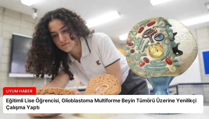 Eğitimli Lise Öğrencisi, Glioblastoma Multiforme Beyin Tümörü Üzerine Yenilikçi Çalışma Yaptı