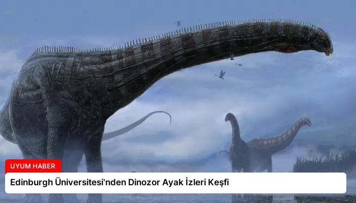 Edinburgh Üniversitesi’nden Dinozor Ayak İzleri Keşfi