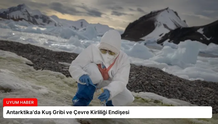 Antarktika’da Kuş Gribi ve Çevre Kirliliği Endişesi