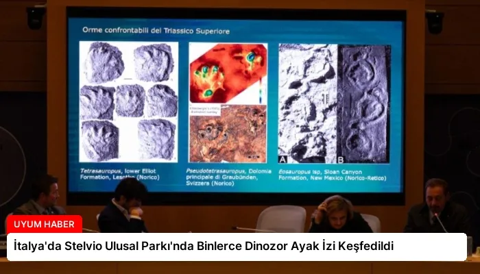 İtalya’da Stelvio Ulusal Parkı’nda Binlerce Dinozor Ayak İzi Keşfedildi