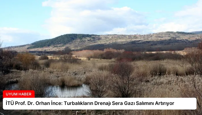 İTÜ Prof. Dr. Orhan İnce: Turbalıkların Drenajı Sera Gazı Salımını Artırıyor