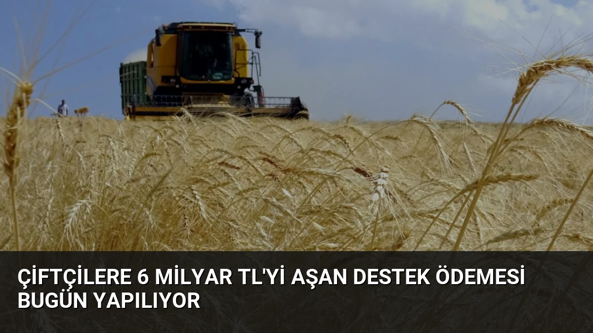 Çiftçilere 6 Milyar TL’yi Aşan Destek Ödemesi Bugün Yapılıyor