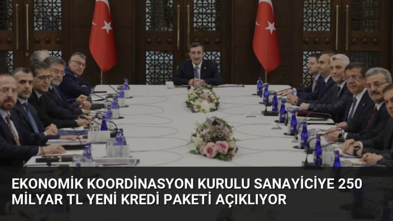 Ekonomik Koordinasyon Kurulu Sanayiciye 250 Milyar TL Yeni Kredi Paketi Açıklıyor