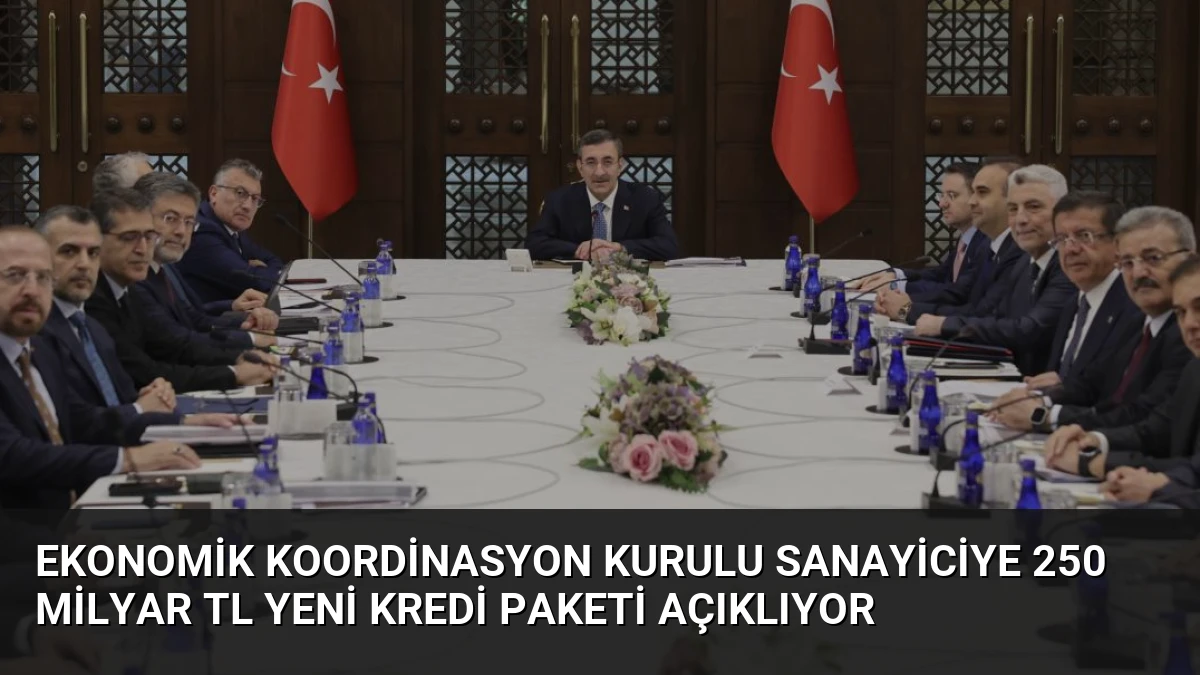 Ekonomik Koordinasyon Kurulu Sanayiciye 250 Milyar TL Yeni Kredi Paketi Açıklıyor