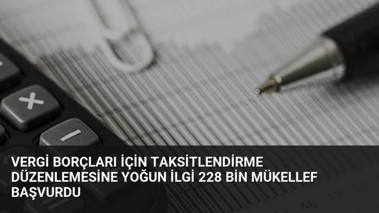 Vergi Borçları İçin Taksitlendirme Düzenlemesine Yoğun İlgi 228 Bin Mükellef Başvurdu