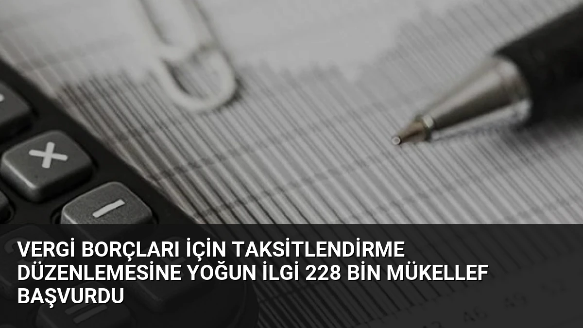Vergi Borçları İçin Taksitlendirme Düzenlemesine Yoğun İlgi 228 Bin Mükellef Başvurdu