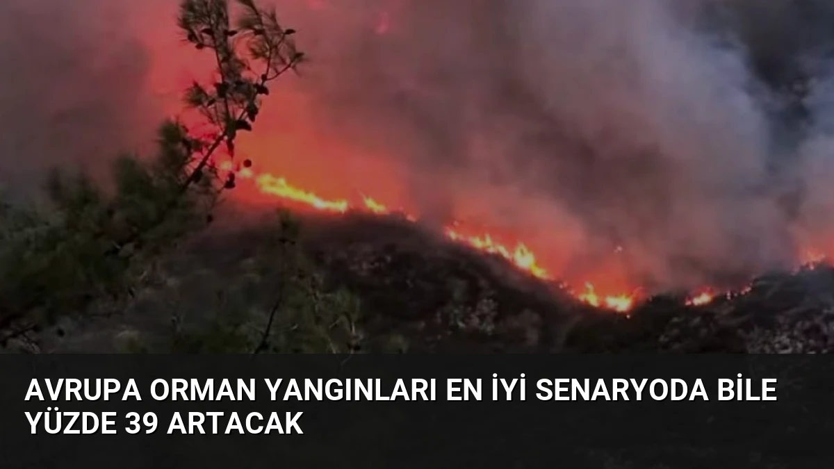 Avrupa Orman Yangınları En İyi Senaryoda Bile Yüzde 39 Artacak