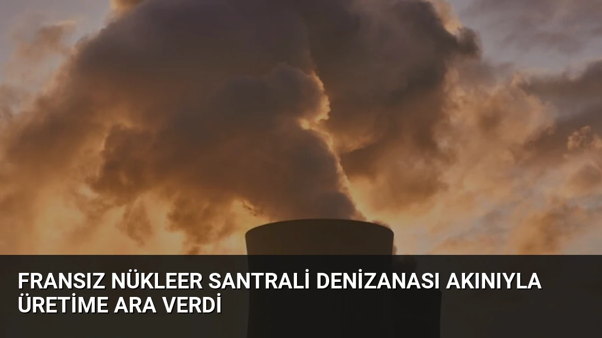 Fransız Nükleer Santrali Denizanası Akınıyla Üretime Ara Verdi